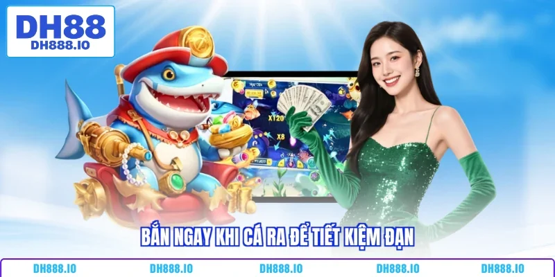 Bắn ngay khi cá ra để tiết kiệm đạn