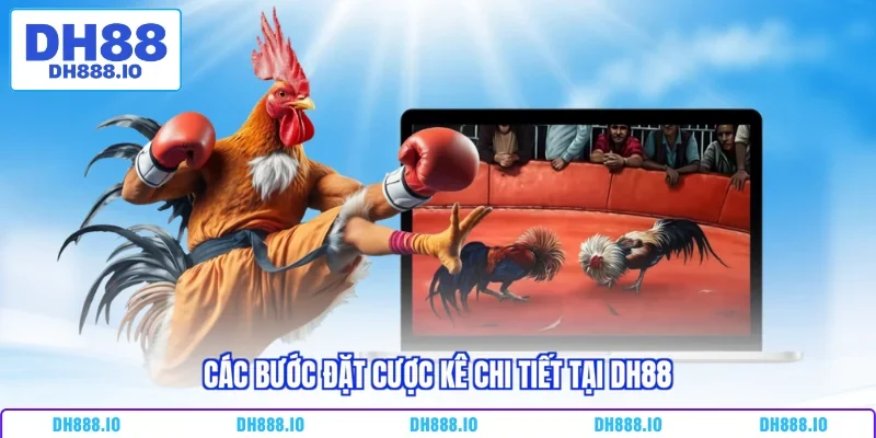 Các bước đặt cược kê chi tiết tại DH88