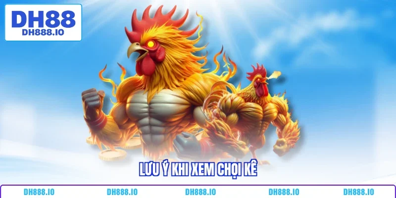 Lưu ý khi xem chọi kê